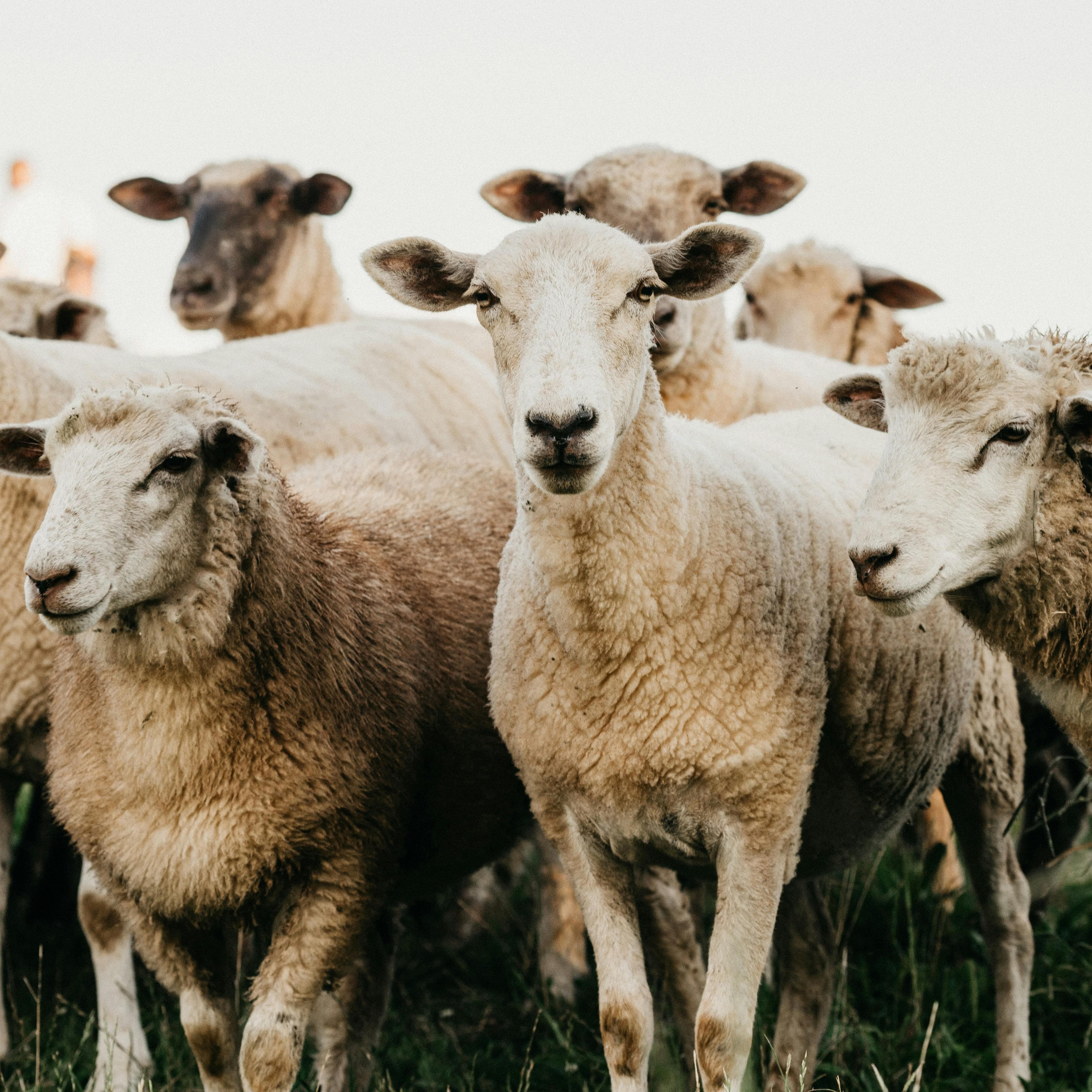 GSDF SDFHfgdfg dfgdfg df